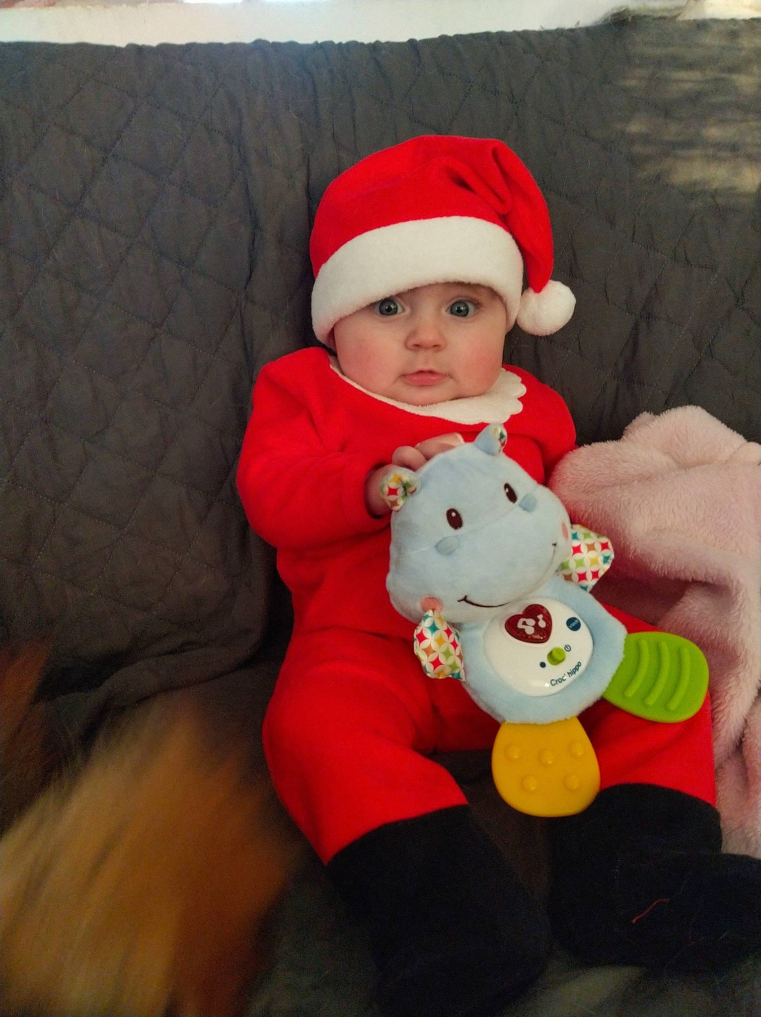 Daria a rejoint le concours — aidez-le/la à gagner de superbes lots ! baby, child, christmas, christmas_eve, fictional_character, headwear, holiday, person, red, toddler