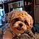 Tillie