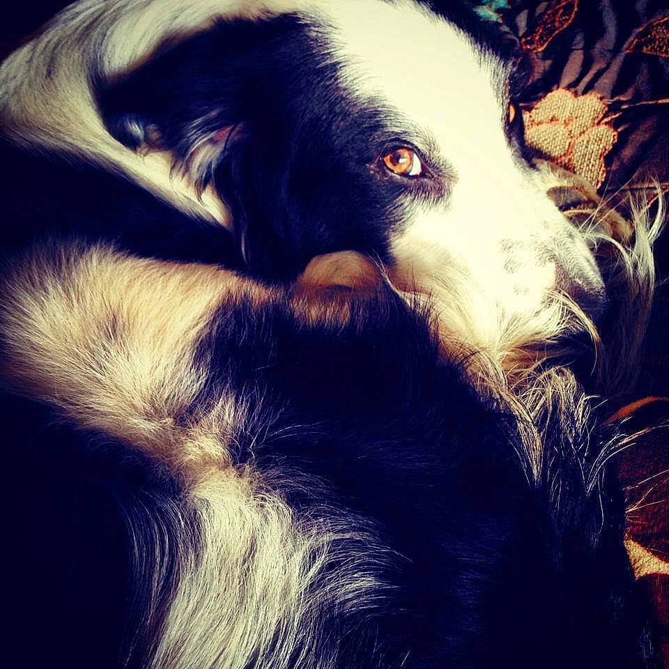 Buster