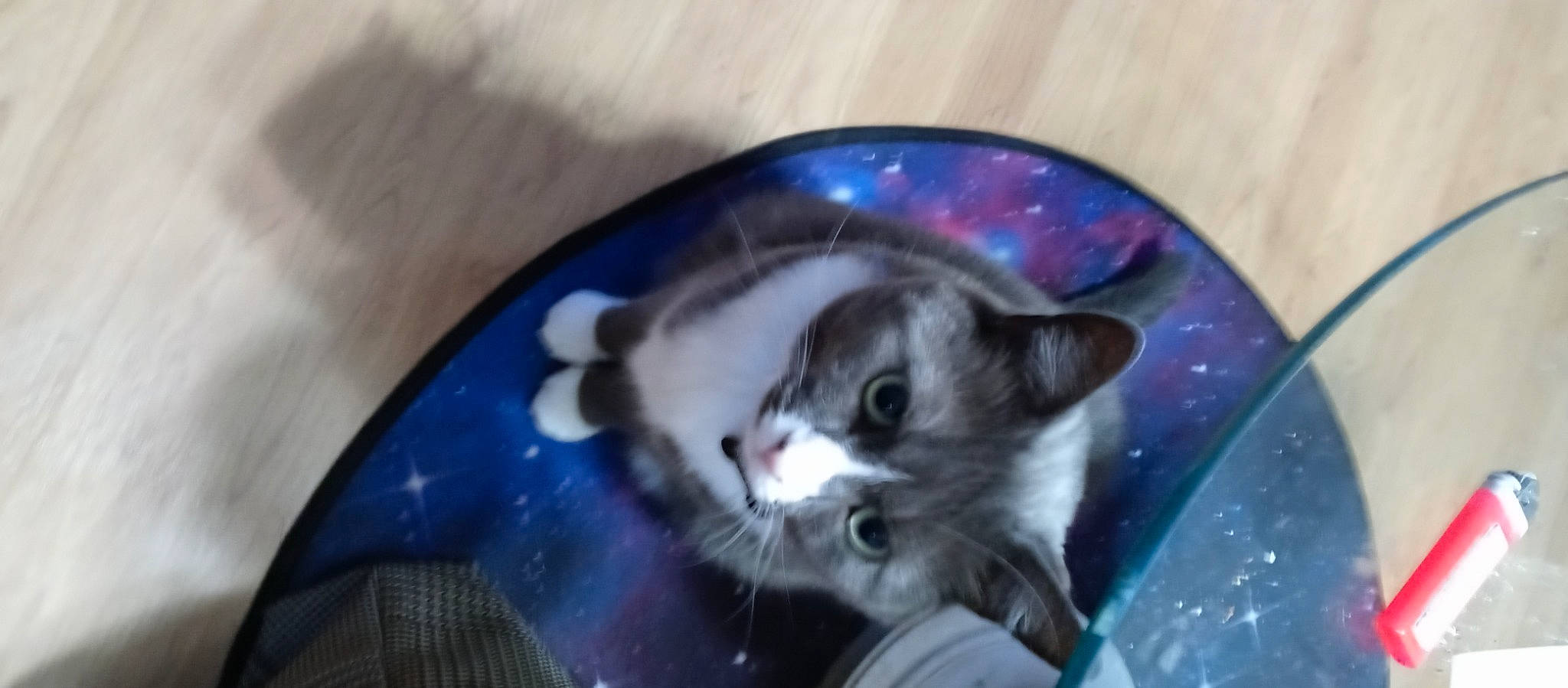 Mittens