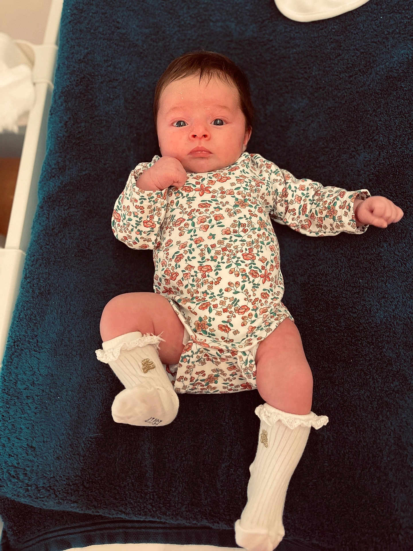 Arya participe au concours pour gagner de l'argent avec cette photo : baby, infant, child, onesie, floral_pattern, white_socks, blanket, blue_blanket, lying_down, indoor, person, cute, newborn, portrait, clothing, skin, head, face, expression, hand