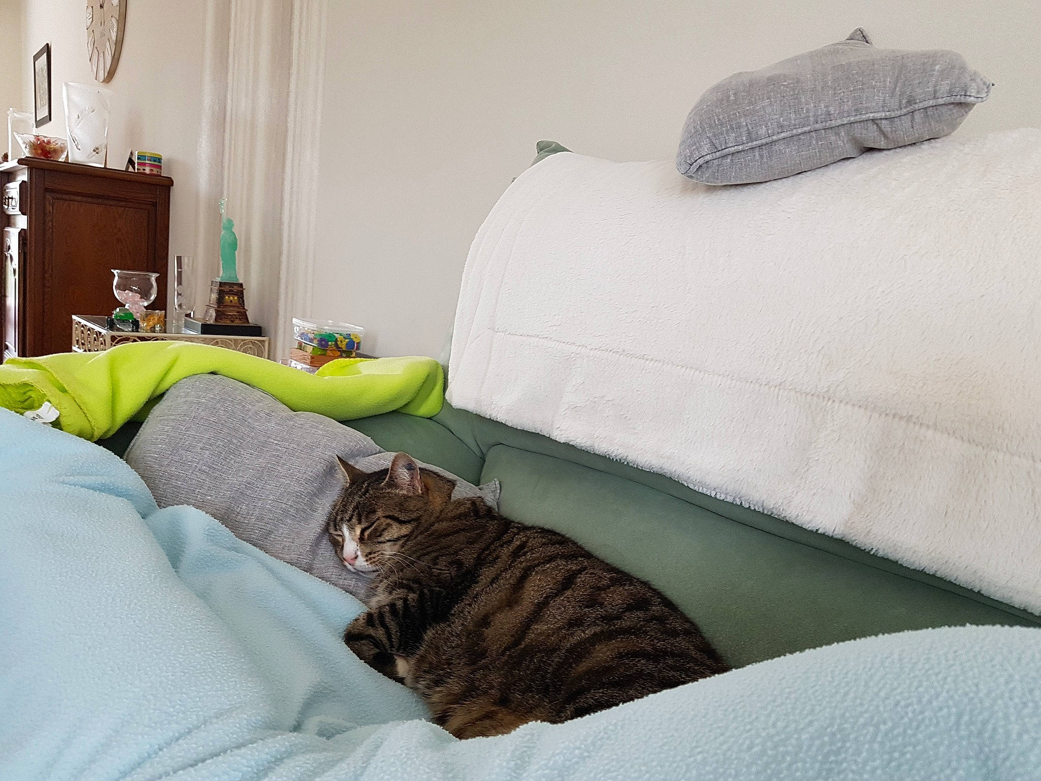 Capone a rejoint le concours — aidez-le/la à gagner de superbes lots ! bed_frame, bedding, bedroom, carnivore, cat, comfort, couch, felidae, grey, house, interior_design, lamp, linens, living_room, pillow, small_to_medium_sized_cats, textile, wall, whiskers, wood