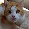 Merlin participe au concours pour gagner de l'argent avec cette photo :