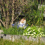 Merlin participe au concours pour gagner de l'argent avec cette photo :