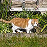 Merlin participe au concours pour gagner de l'argent avec cette photo :