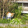 Merlin participe au concours pour gagner de l'argent avec cette photo :