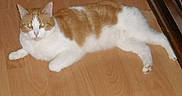 Merlin participe au concours pour gagner de l'argent avec cette photo :