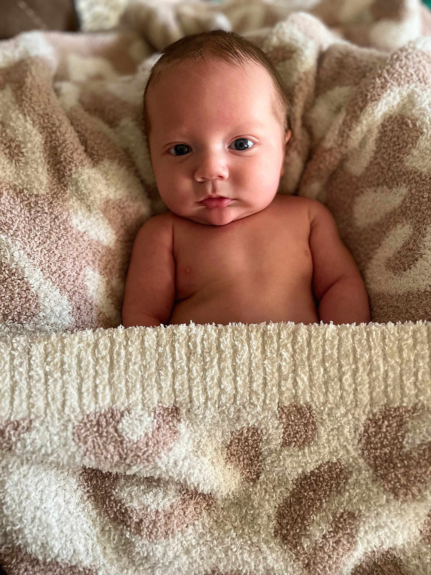Karter is registered to the contest to win money with this photo: baby, infant, blanket, soft_texture, patterned_blanket, naked_torso, skin, face, eyes, expression, newborn, cute, cozy, lying_down, indoors, child, portrait, warm, comfort, resting