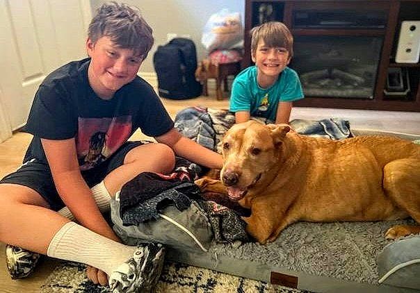 Opie is registered to the contest to win money with this photo: carnivore, child, companion_dog, couch, dog, dog_breed, fawn, flooring, fun, gas_stove, happy, kitchen_appliance, lap, leisure, sharing, shorts, sitting, smile, stove, t_shirt