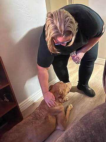 Opie joined the competition — help win amazing prizes! boot, canidae, comfort, companion_dog, dog_breed, felidae, flesh, flooring, fun, fur, human_leg, knee, lion, room, seal, sitting, steller_sea_lion, stretching, visual_arts, wood