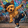 animal, baggy_pants, brick_wall, cap, colorful, cute, dance_pose, dog, fashion, gold_chain, graffiti, hip_hop, outdoor, pet, playful, portrait, sneakers, street_style, urban, yorkshire_terrier