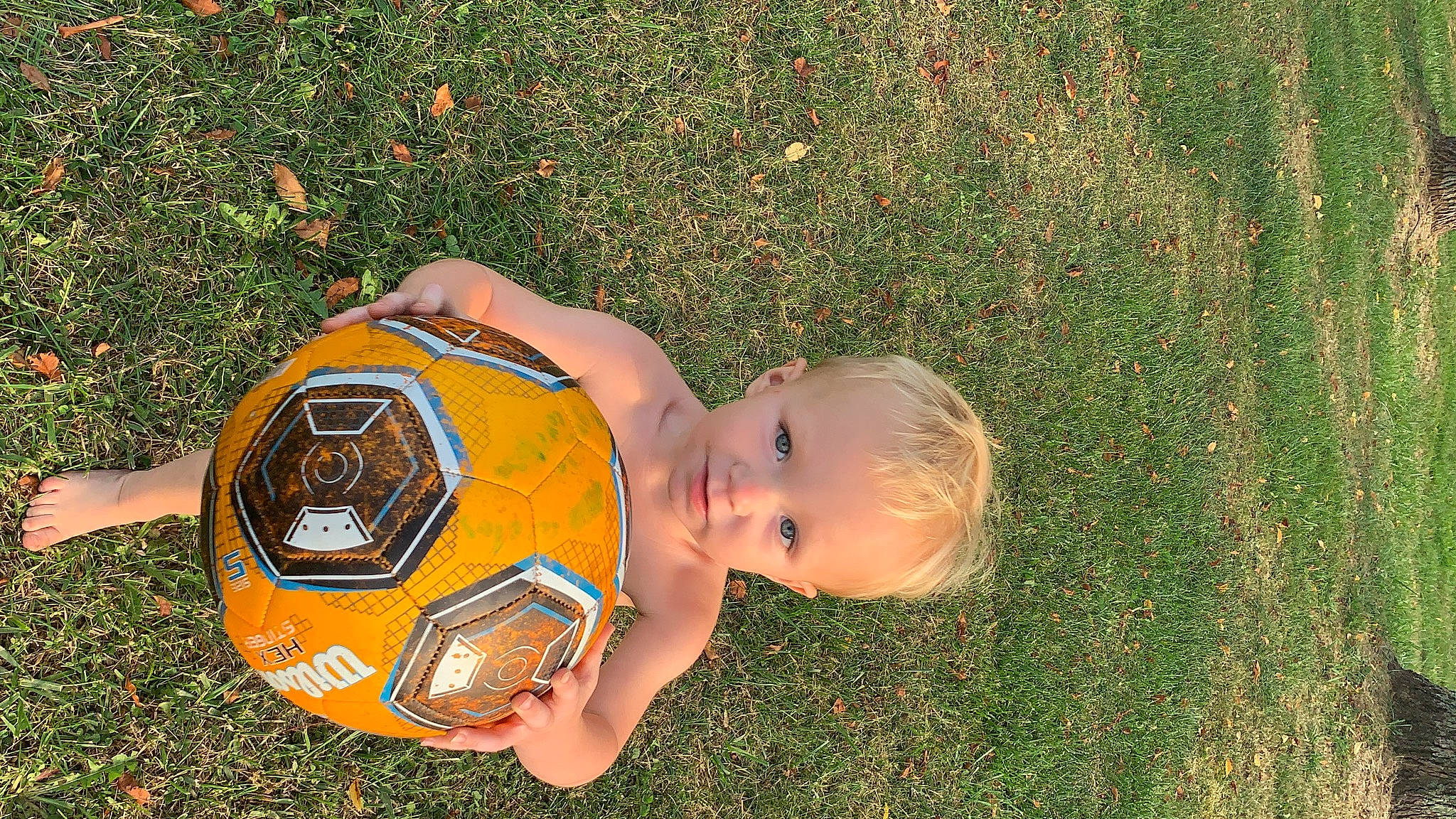 Lakyn is registered to the contest to win money with this photo: ball, child, football, fun, grass, person, plant, soccer_ball, toddler, vacation