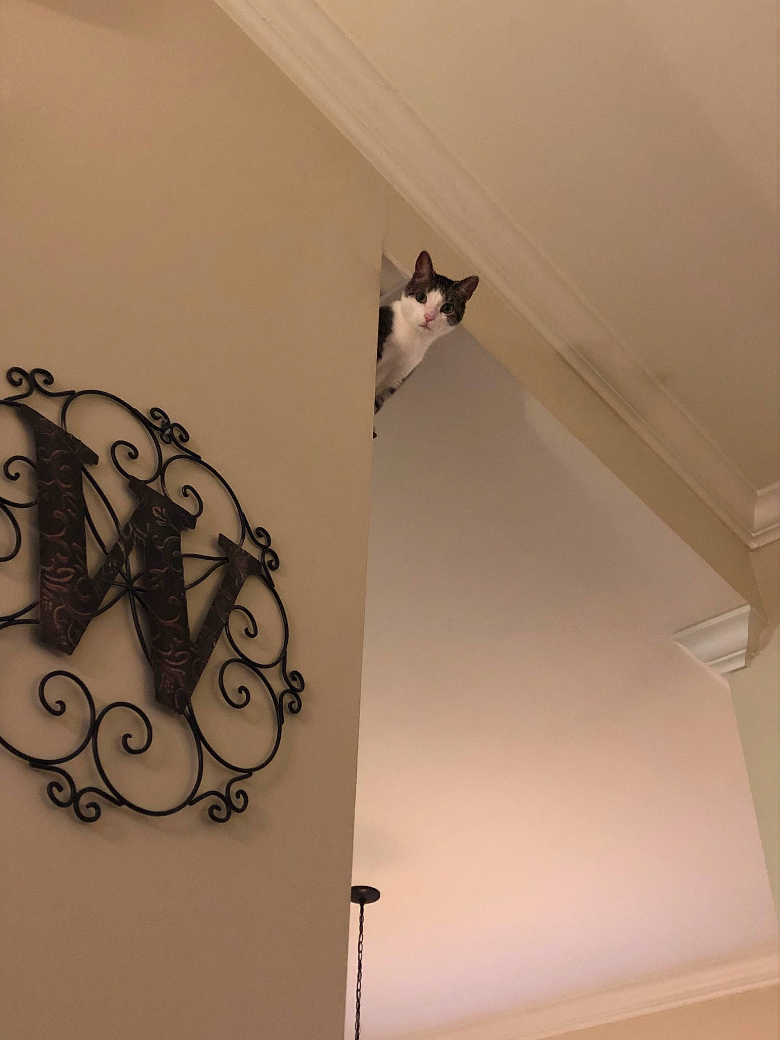 Milo is registered to the contest to win money with this photo: architecture, baluster, ceiling, design, handrail, house, interior_design, iron, light_fixture, material_property, metal, molding, plaster, room, stairs, visual_arts, wall