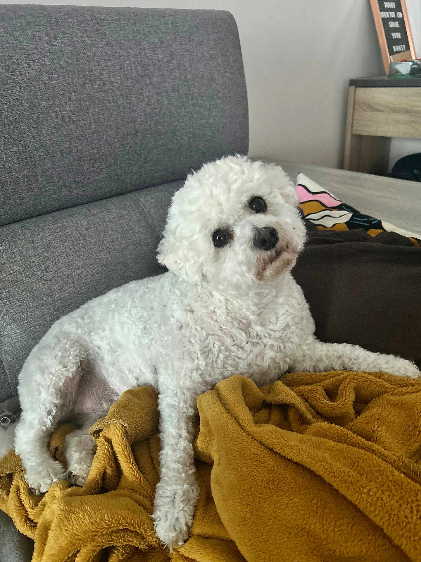 Papaye