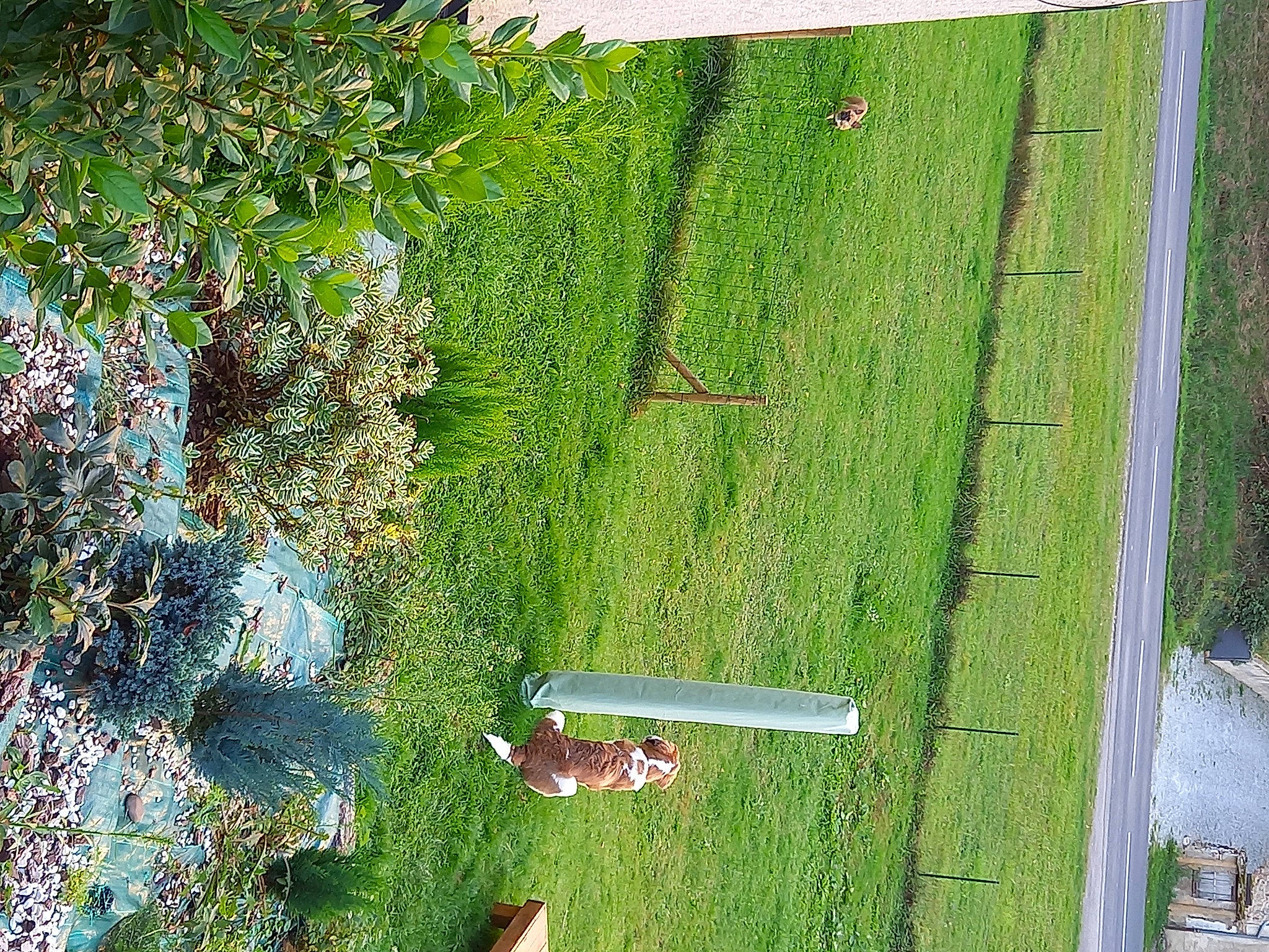 Oana participe au concours pour gagner de l'argent avec cette photo : art, biome, flower, garden, grass, grassland, groundcover, hedge, landscape, lawn, leaf, natural_landscape, plant, rectangle, shrub, slope, tree, urban_design, vegetation, wood