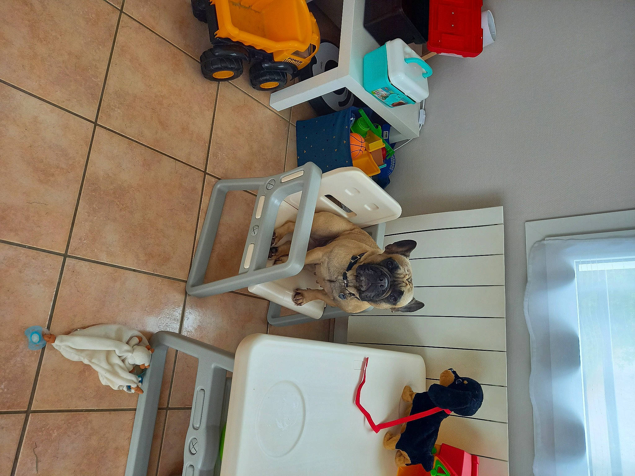 Oana participe au concours pour gagner de l'argent avec cette photo : art, carmine, computer, electrical_wiring, flooring, hardwood, house, laptop, personal_computer, plastic, room, shelving, toy, visual_arts, walking_shoe, white, wood