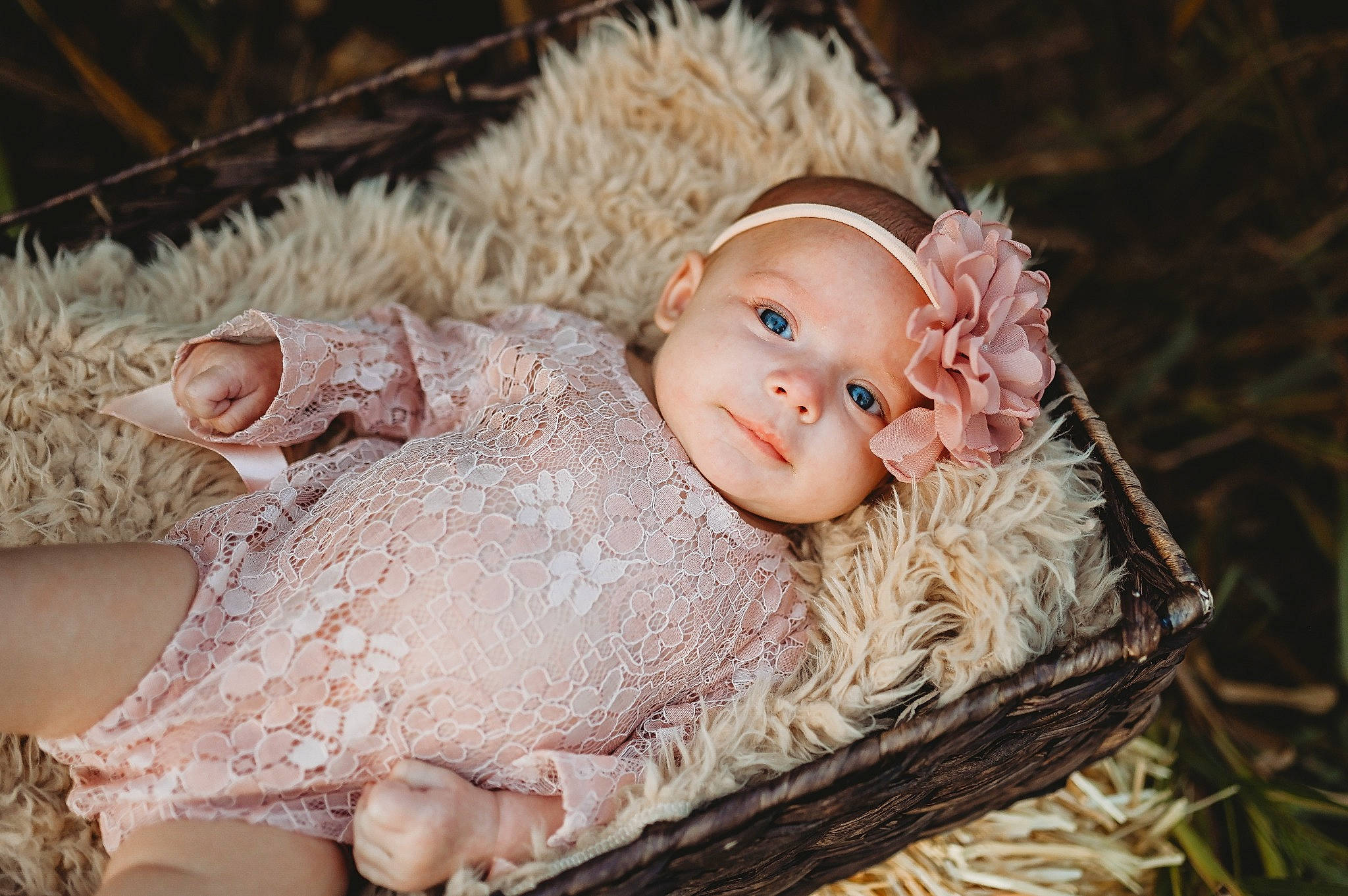 Murphy joined the competition — help win amazing prizes! baby, basket, cap, child, costume_hat, doll, event, eye, fashion_accessory, fawn, grass, hat, headgear, headpiece, headwear, jewellery, person, plant, toy, tree