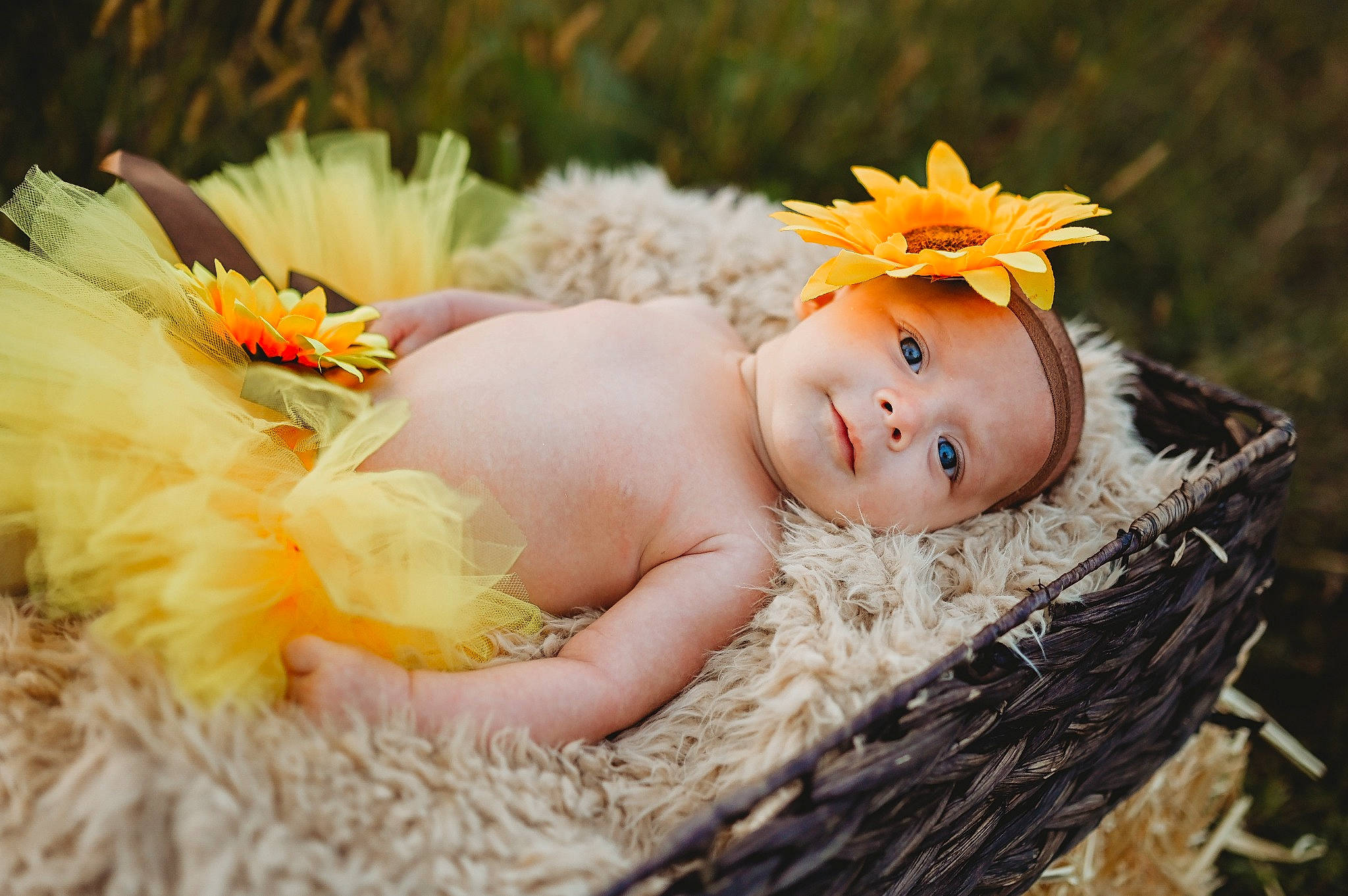 Murphy joined the competition — help win amazing prizes! baby, baby_toddler_clothing, basket, child, eye, flower, grass, hair_accessory, happy, headband, headgear, headpiece, people_in_nature, person, petal, plant, skin, smile, sunlight, toddler