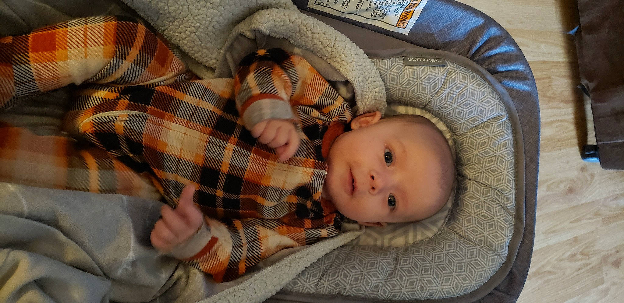 Murphy is registered to the contest to win money with this photo: baby, baby_products, baby_toddler_clothing, cheek, child, comfort, eye, face, head, human_body, linens, nose, pattern, person, plaid, skin, tartan, textile, toddler, tree