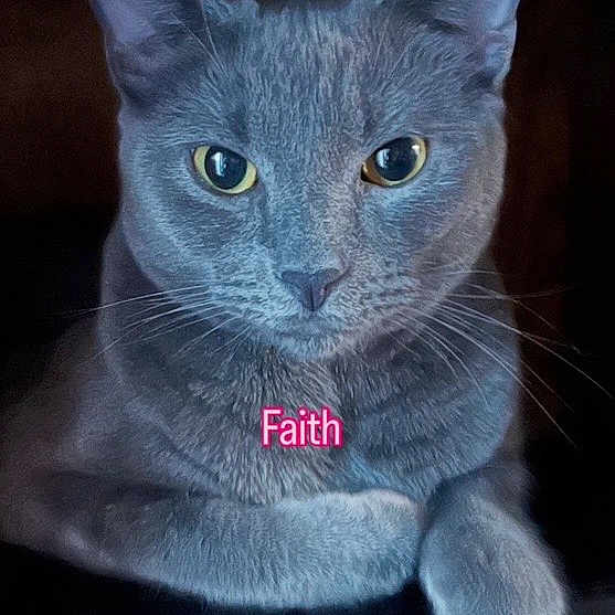 Faith