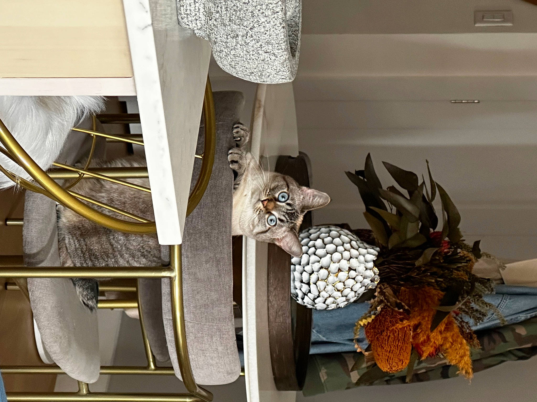 Darylene joined the competition — help win amazing prizes! ananas, architecture, building, ceiling, chair, fashion_accessory, feather, glass, house, interior_design, metal, natural_material, pineapple, plant, room, shelf, shelving, table, twig, wood