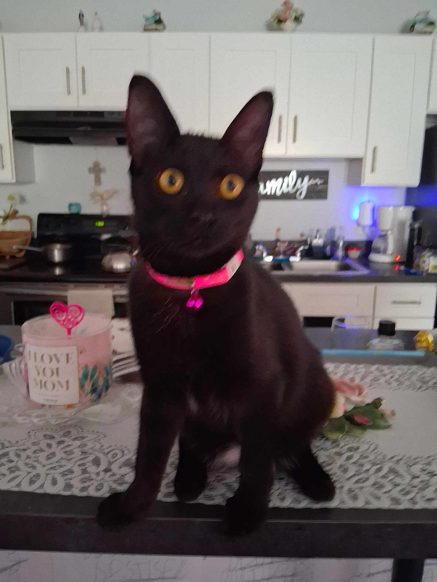 Melody is registered to the contest to win money with this photo: cat, black_cat, pet, indoor, kitchen, counter, collar, pink, mug, appliance, cabinet, flower, decor, tablecloth, yellow_eyes, domestic, feline, household, cute, blurred