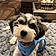 Benji