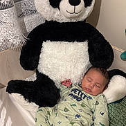 William a rejoint le concours — aidez-le/la à gagner de superbes lots ! baby, sleeping, stuffed_animal, panda, toy, bed, blanket, knit_blanket, child, infant, sleepwear, cute, cozy, indoor, resting, soft, plush, nursery, peaceful, relaxed