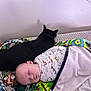 Kegan joined the competition — help win amazing prizes! baby, cat, black_cat, sleeping, blanket, animal_print, colorful_blanket, swaddled, cozy, indoor, pet, resting, cute, peaceful, child, animal, feline, soft, toddler, nap