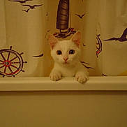 VANILLE participe au concours pour gagner de l'argent avec cette photo :