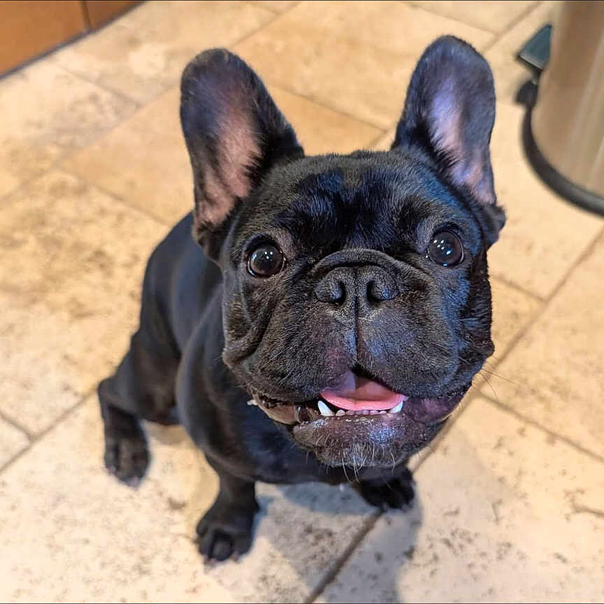 Lily