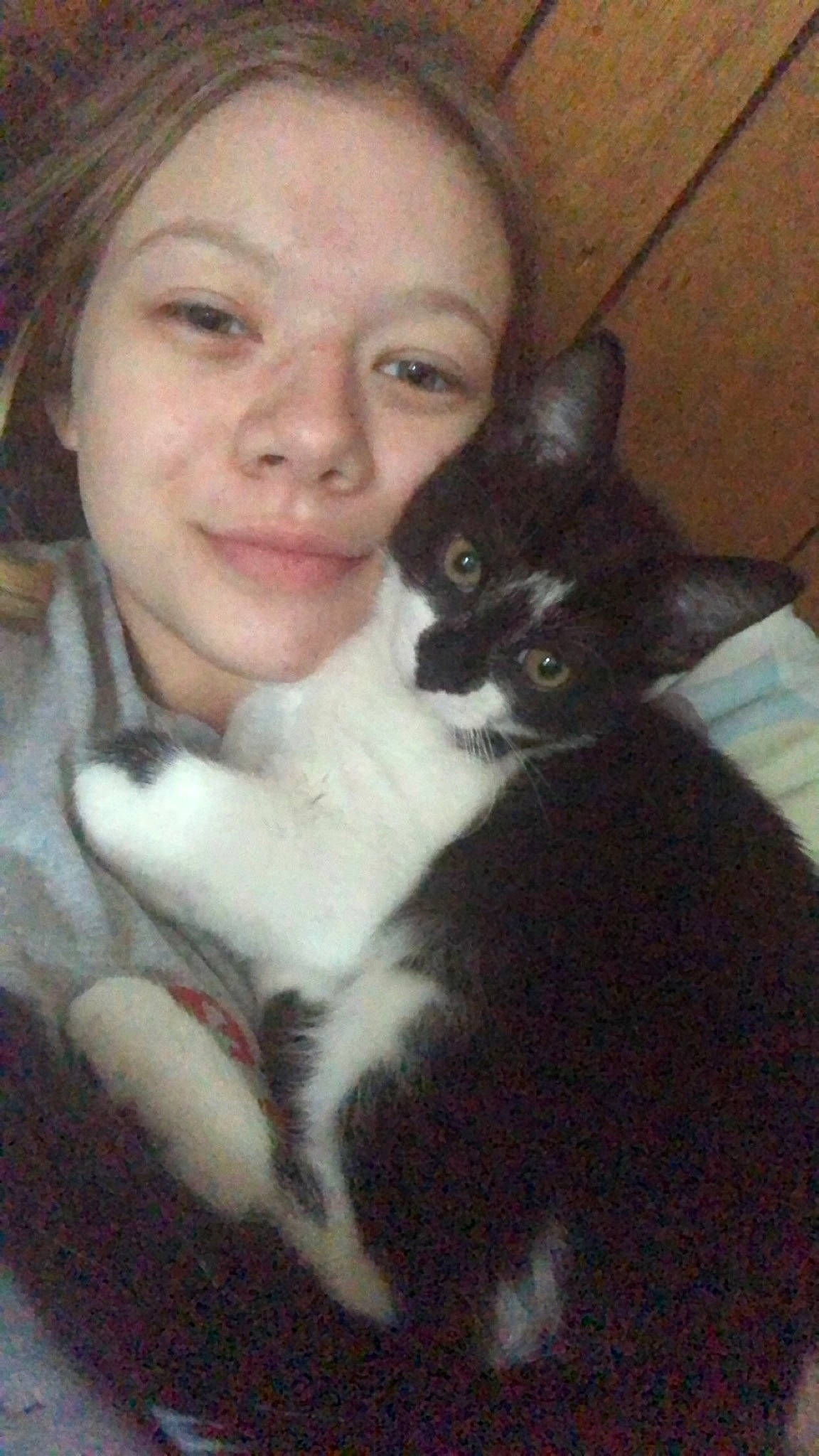 Neko joined the competition — help win amazing prizes! black_hair, carnivore, cat, comfort, ear, eye, eyebrow, felidae, formal_wear, fur, hair, head, iris, long_hair, mammal, nose, small_to_medium_sized_cats, smile, snout, whiskers