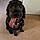 Wilber