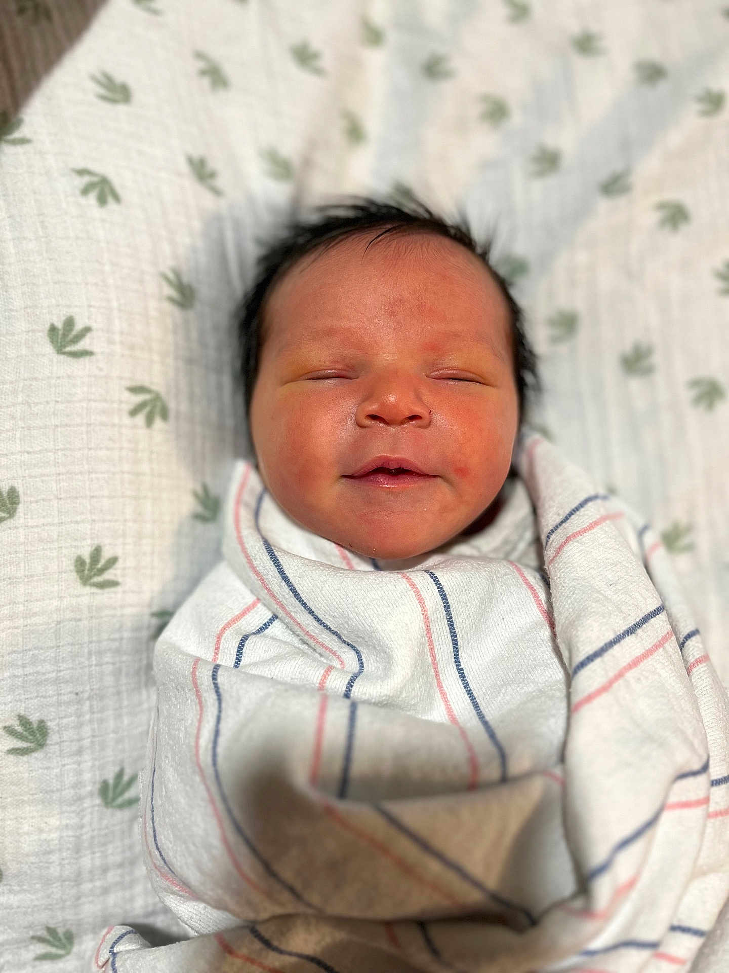 Dallas joined the competition — help win amazing prizes! newborn, baby, swaddled, blanket, sleeping, face, infant, pattern, soft, resting, closeup, cute, child, indoor, peaceful, wrapped, comfort, head, portrait, skin