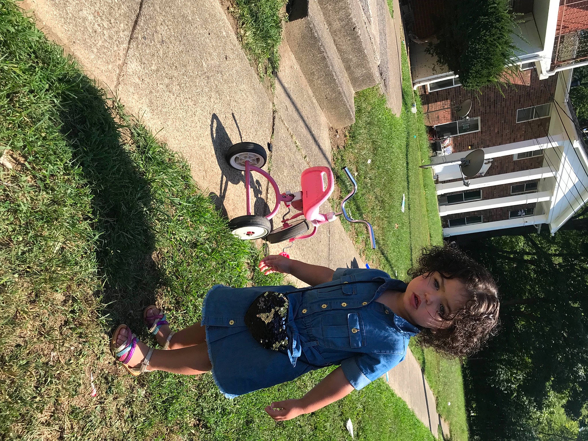 Nemah joined the competition — help win amazing prizes! botany, fun, grass, grass_family, happy, leaf, leg, leisure, light, line, nature, people_in_nature, person, plant, public_space, red, smile, summer, tree, white