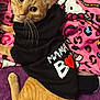 cat, orange_tabby, pet, hoodie, black_clothing, blanket, pink_blanket, purple_blanket, colorful_pattern, cartoon_characters, indoor, cute, animal, feline, whiskers, looking_at_camera, relaxed, soft_texture, cozy, fur