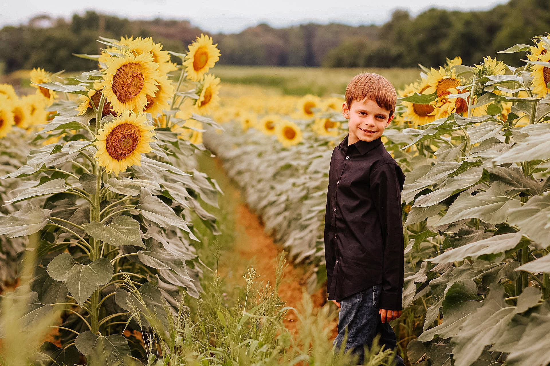 Ryder joined the competition — help win amazing prizes! agriculture, ecoregion, event, field, flower, flowering_plant, grass, grassland, happy, joy, landscape, meadow, natural_landscape, people, people_in_nature, person, petal, plant, prairie, rural_area