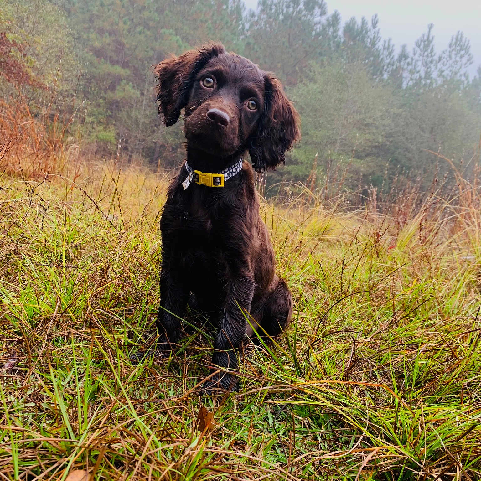 Ellie