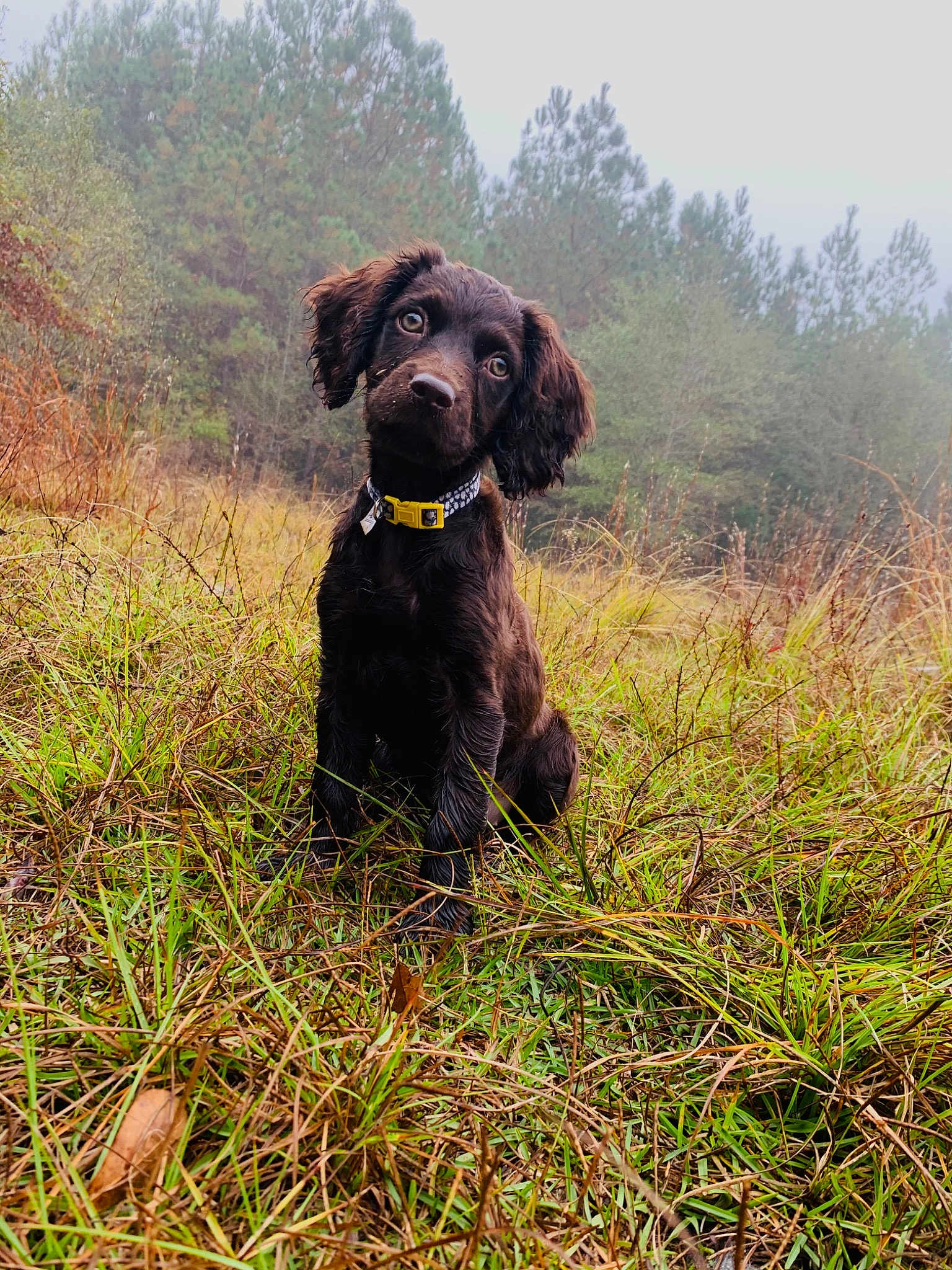 Ellie