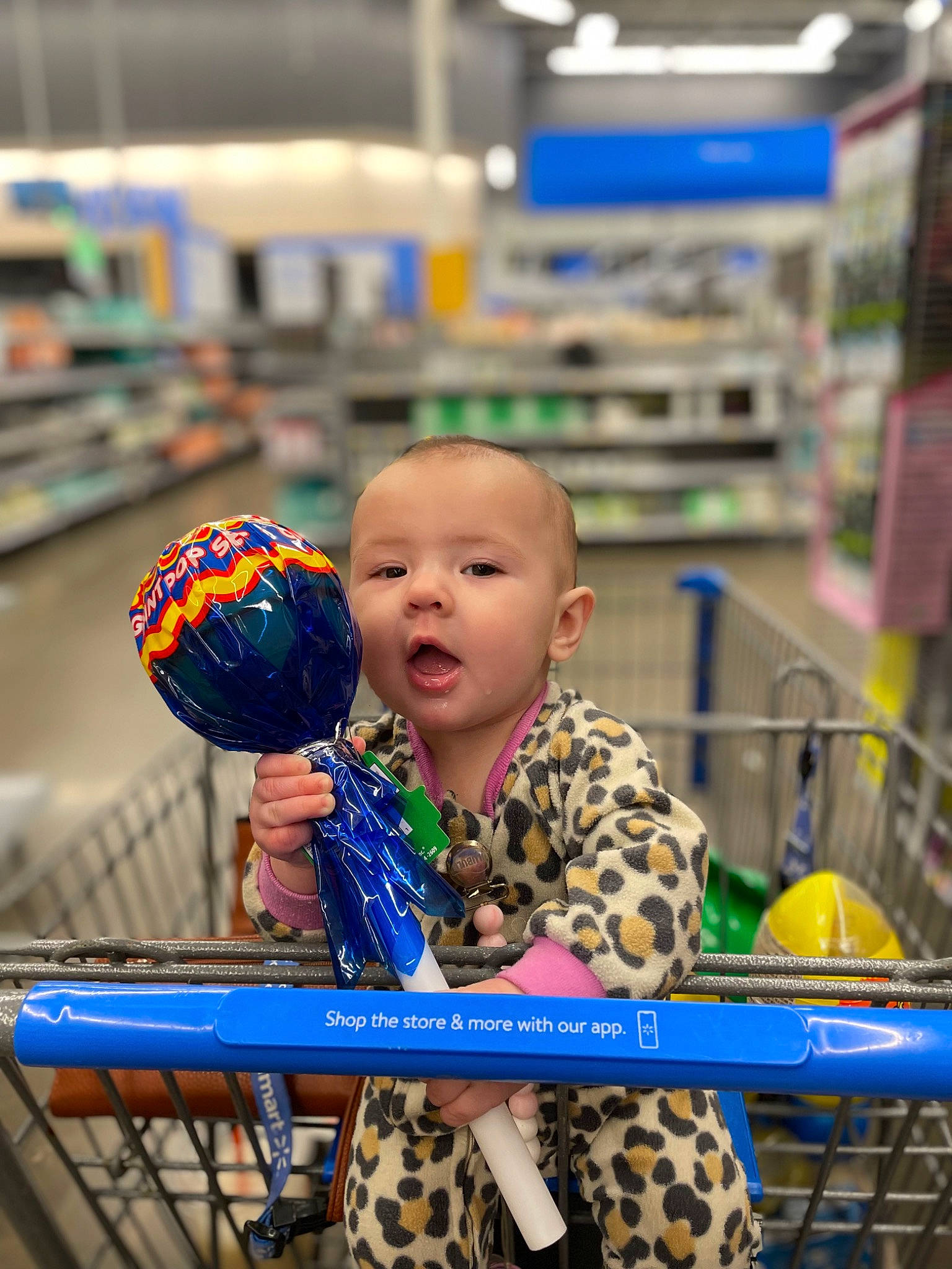Myra is registered to the contest to win money with this photo: baby, blue, cart, child, convenience_store, customer, event, fun, games, grocery_store, leisure, person, play, product, recreation, retail, shelf, shopping_cart, sitting, supermarket
