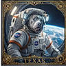 Texas joined the competition — help win amazing prizes! dog, astronaut_suit, space, earth, window, nasa_logo, helmet, spacecraft, animal, portrait, cosmic, outer_space, floating, stars, technology, space_mission, framed, decorative_border, text, texas