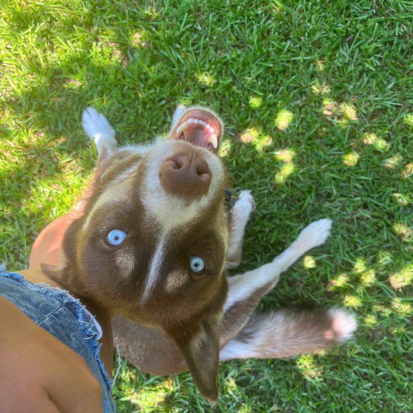 Yukon