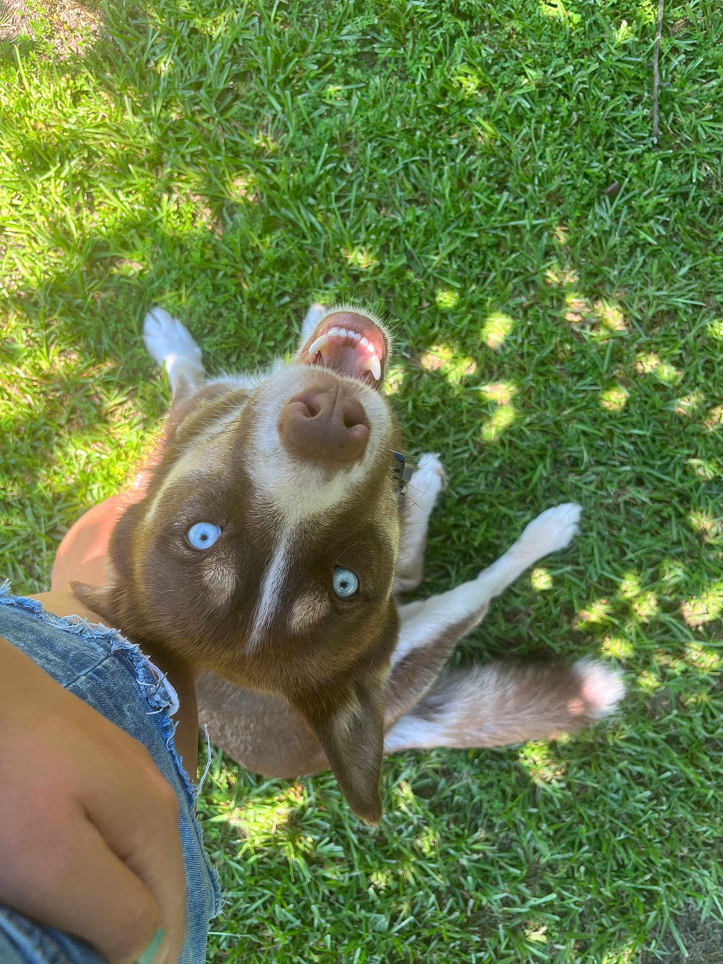 Yukon