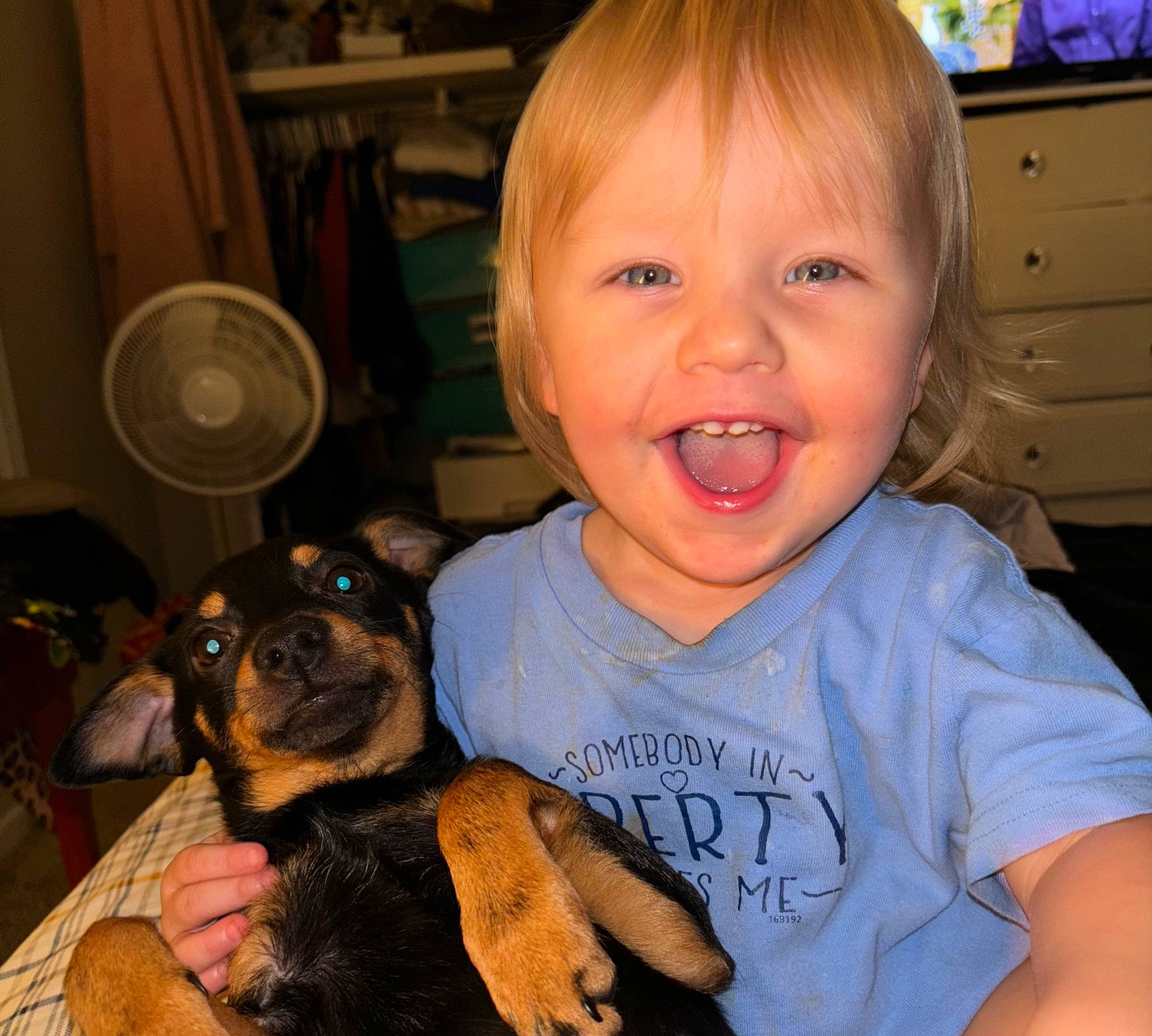 Layton joined the competition — help win amazing prizes! carnivore, comfort, companion_dog, dog, dog_breed, drawer, ear, eye, fawn, happy, iris, mammal, nose, organ, person, skin, smile, snout, t_shirt, toddler