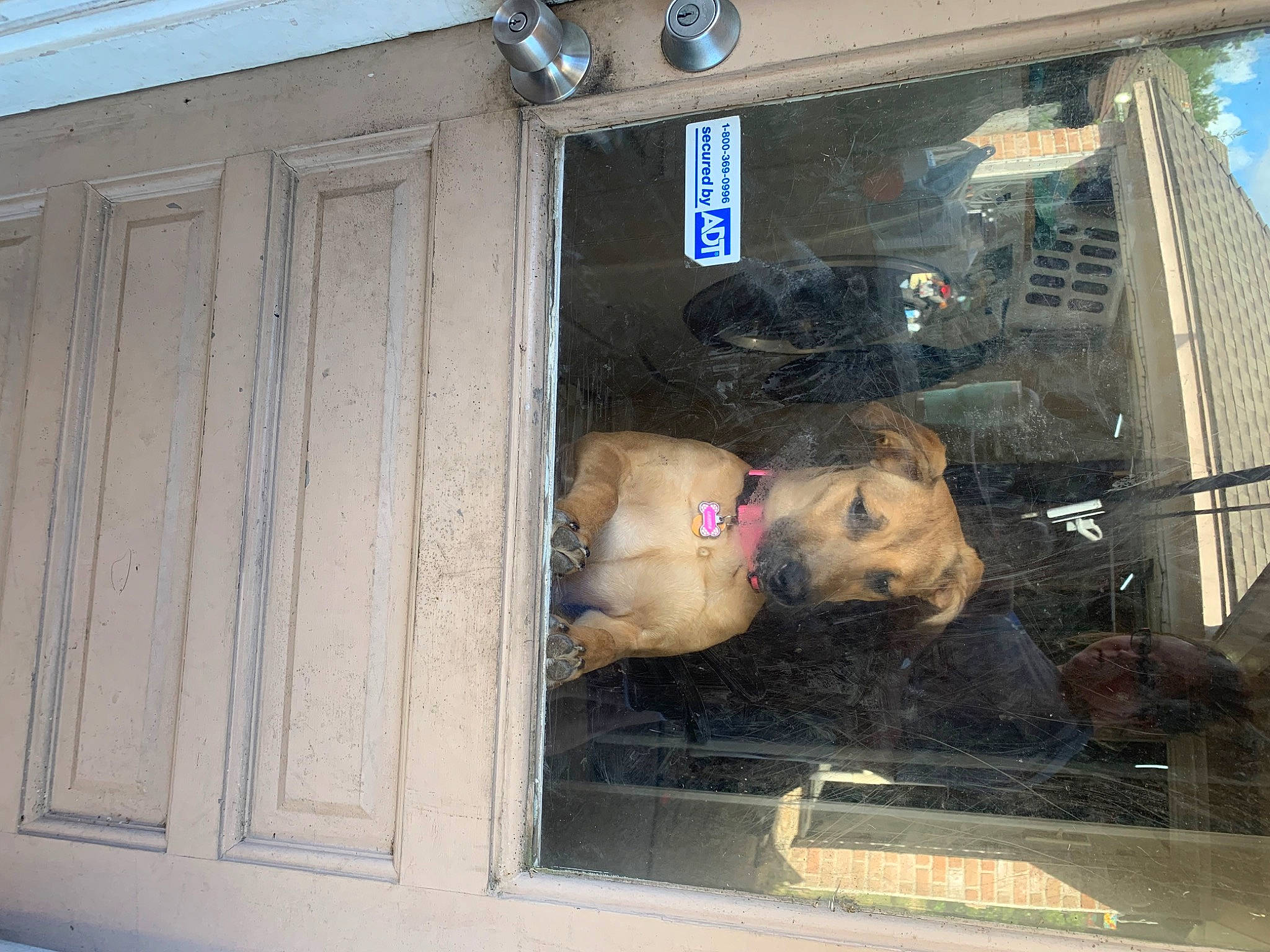 Lakota joined the competition — help win amazing prizes! art, auto_part, automotive_exterior, automotive_window_part, door_handle, facade, glass, vehicle, vehicle_door, visual_arts, window, windshield, wood