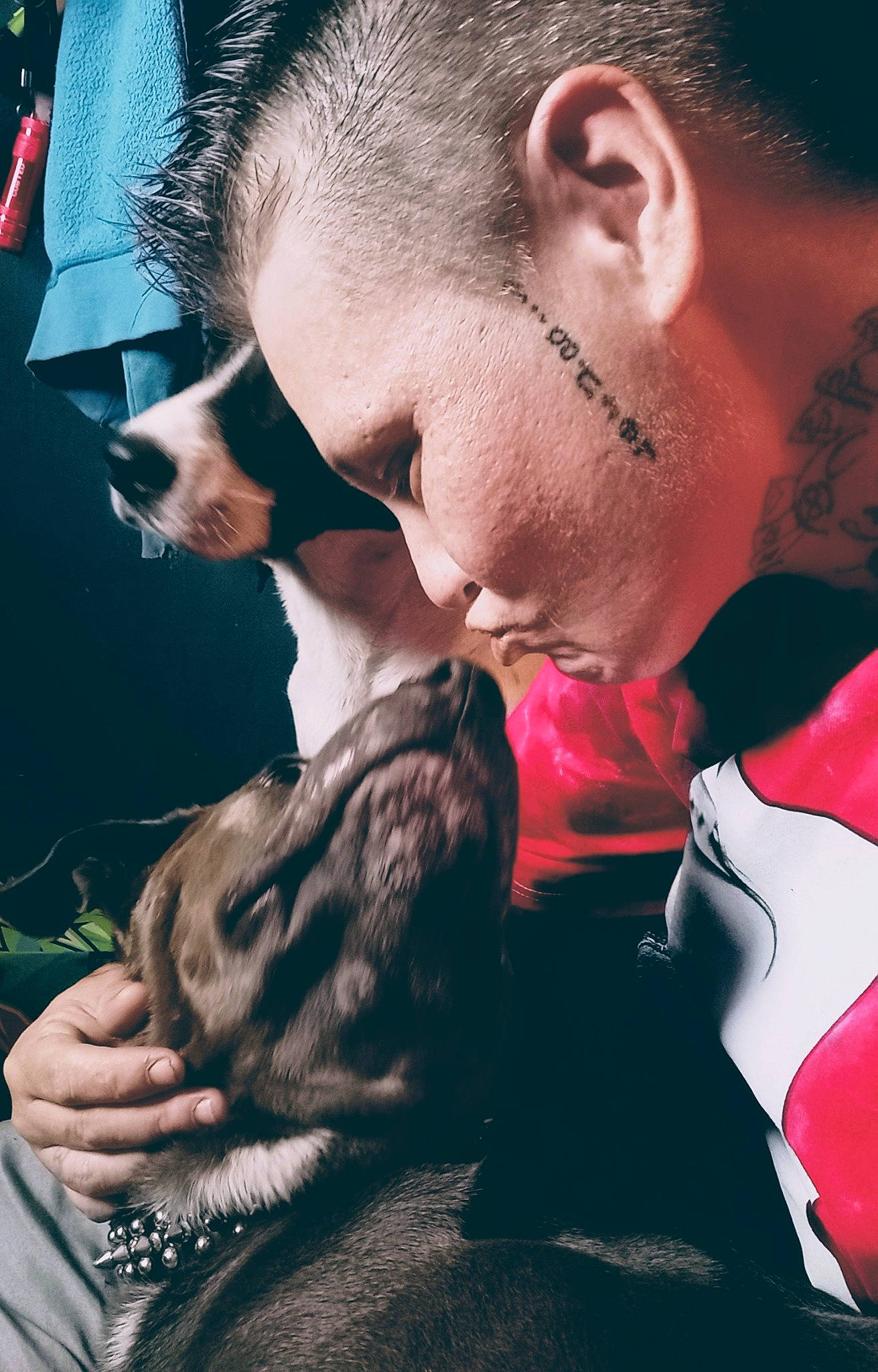 Drako joined the competition — help win amazing prizes! beard, carnivore, child, companion_dog, cool, dog, dog_breed, ear, event, eyewear, facial_hair, fawn, flash_photography, fun, gesture, happy, interaction, mouth, organ, snout