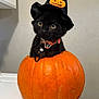 black_cat, kitten, pumpkin, halloween_hat, orange, costume, indoor, cute, pet, animal, cat, festive, holiday, decor, curious, face, whiskers, collar, table, background