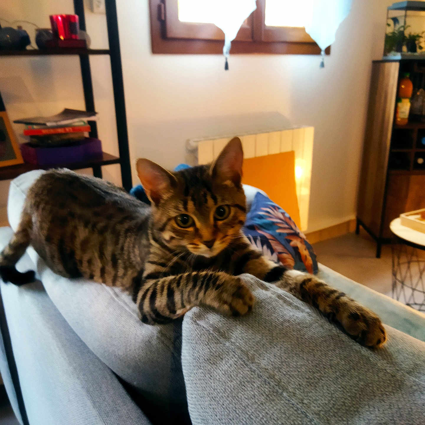 Mila