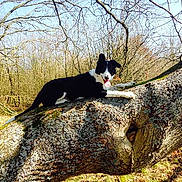 Iris participe au concours pour gagner de l'argent avec cette photo :