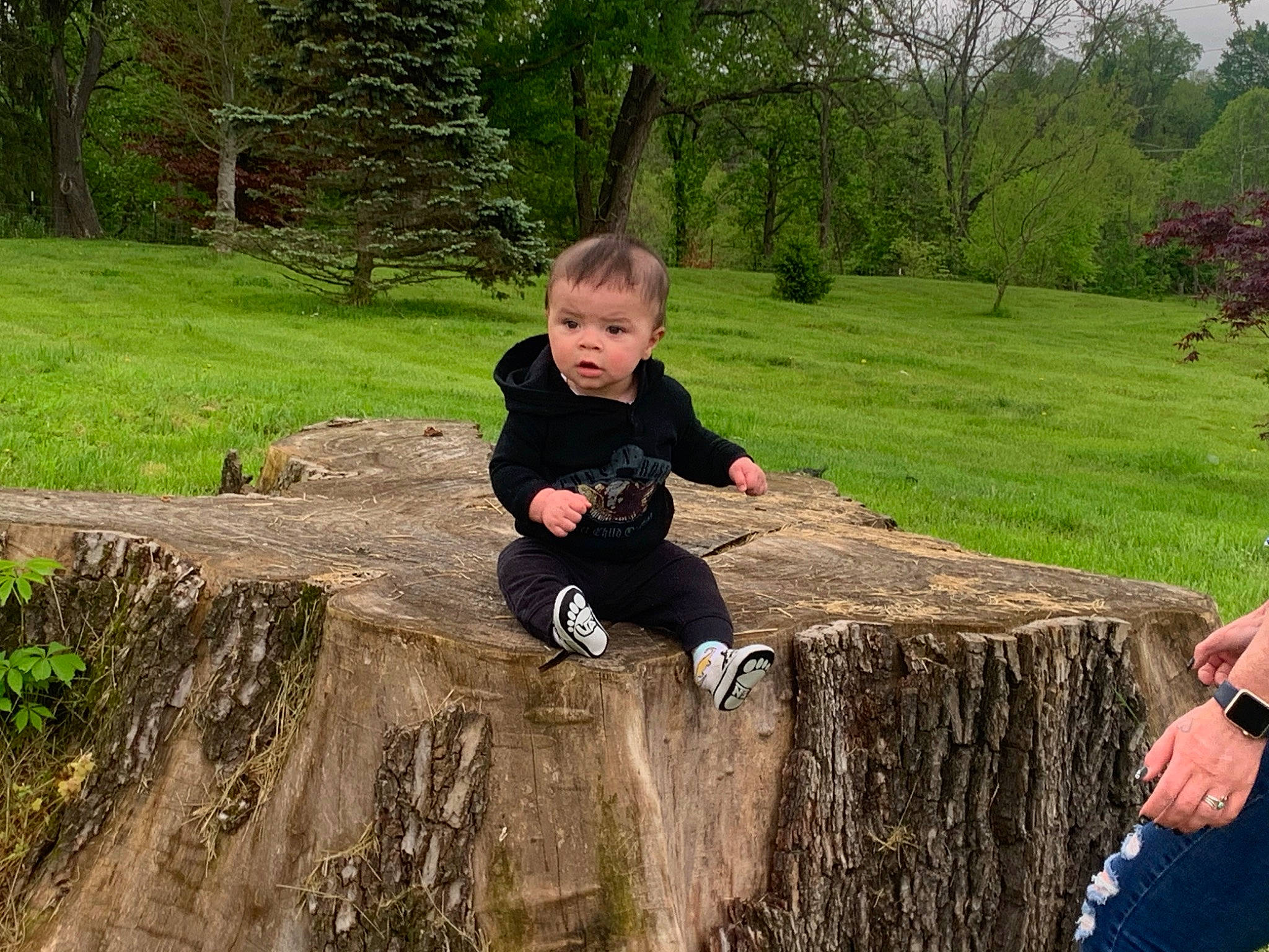 Fenix is registered to the contest to win money with this photo: biome, grass, grass_family, happy, landscape, lap, lawn, leaf, leisure, people_in_nature, person, plant, recreation, sitting, soil, t_shirt, toddler, tree, trunk, wilderness